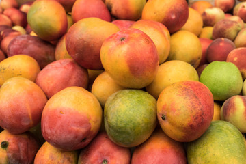 New mango for sale at city market