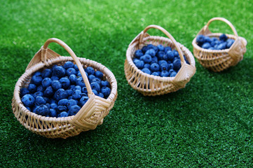 Fototapeta na wymiar Fresh blueberries in a basket, shallow depth of field