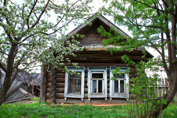 Fototapeta na wymiar small hut