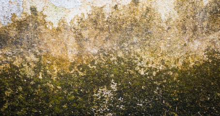 Abstract cement wall  or street floor texture background..