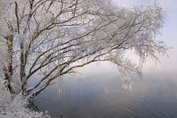 Fototapeta na wymiar Frosty morning on the river