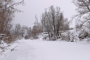 Fototapeta premium Winter on the river