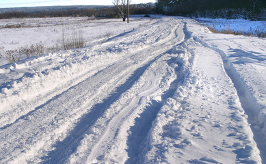 The road near the woods