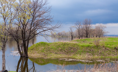 Fototapeta na wymiar Spring on the River