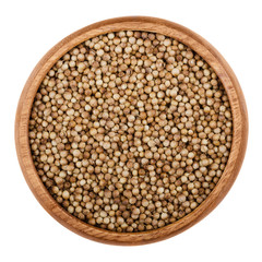 Dried coriander seeds in a wooden bowl on white background. Edible brown fruits of Coriandrum sativum, also cilantro or Chinese parsley, used as a spice in food preparation. Isolated macro close up.