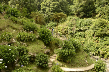 Ribeira dos Caldeiroes (Sao Miguel)