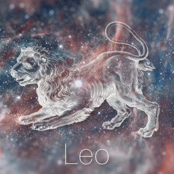 Astrological zodiac sign - Leo. Vintage astrological drawing. Galaxy sky on the background. Can be used for horoscopes. Elements of this image furnished by NASA.