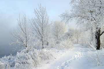 Obraz na płótnie Canvas winter landscape