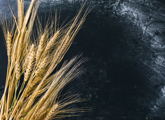 wheat on black cloth background