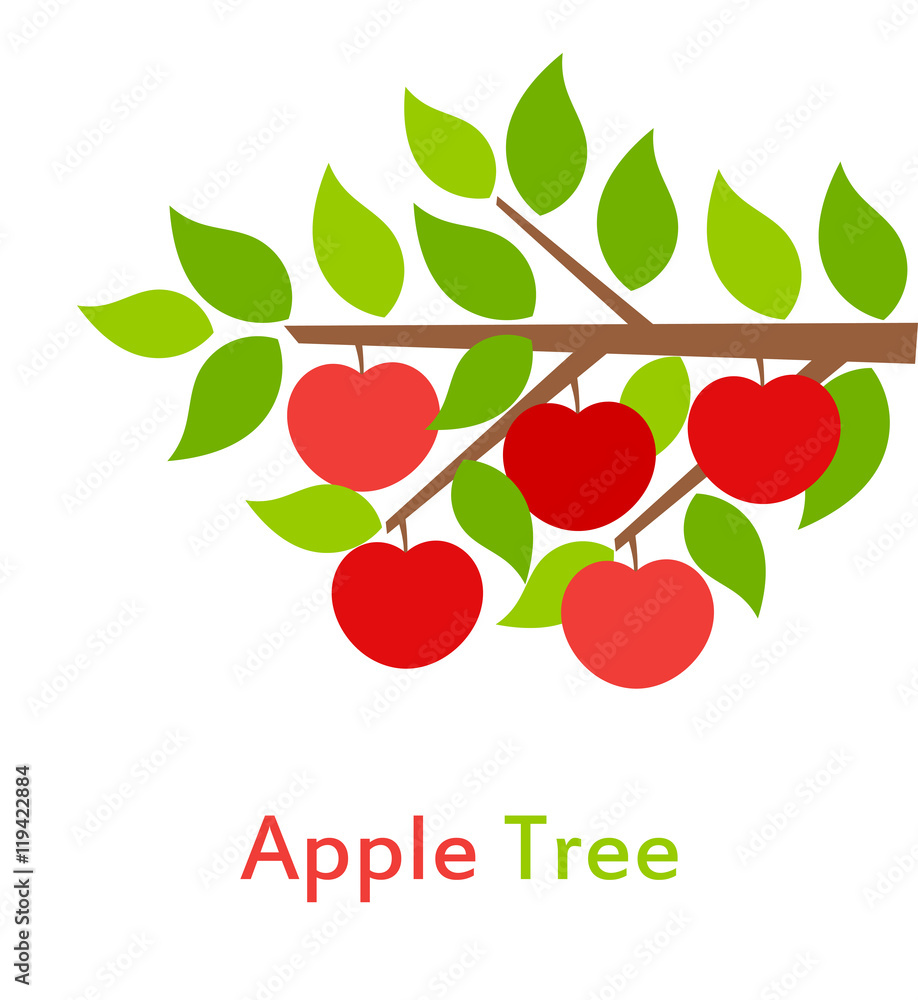 Canvas Prints apple tree branch