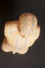 Fototapeta premium Medical acupuncture model of human on black background