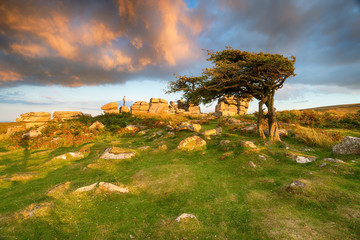 Evening Light at Combestone Tor