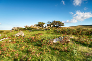 Combestone Tor