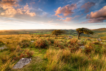 Dartmoor National Park