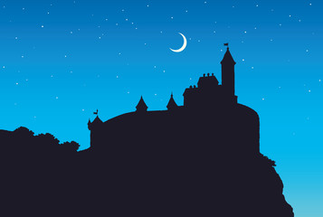 Fototapeta premium Castle Romanesque style. Vector drawing