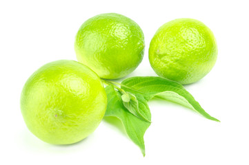 Three ripe limes Isolated on white