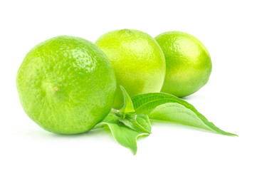 Three fresh limes in line Isolated on white with leaves