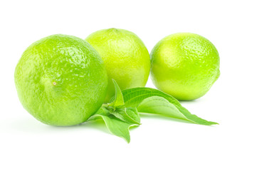 Three fresh limes Isolated on white background with leaves