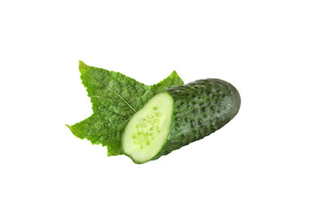 cut cucumber with leaf isolated on white background