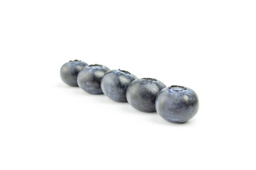Blueberries in row on the white background