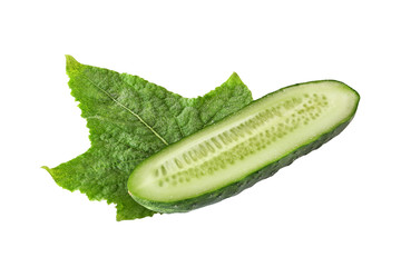cut cucumber with leaf isolated on white background