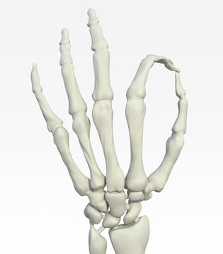 skeleton hand making ok gesture