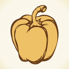 Pepper. Vector drawing