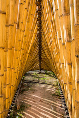 Fototapeta na wymiar Abstract fence made from Bamboo.