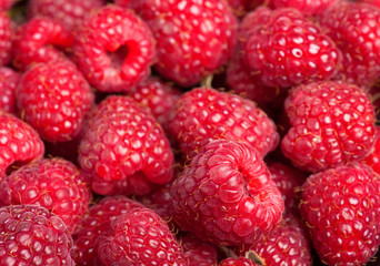 Fresh raspberries