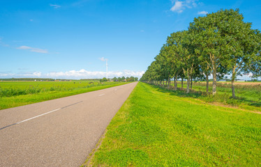 Road through the countryside in summer
