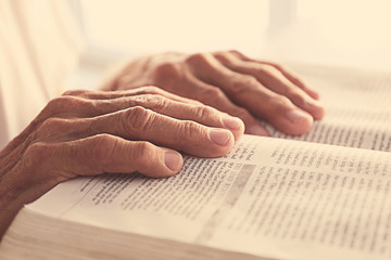 Old man reading the Bible
