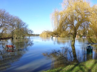 Flooded park on the banks of the River Thames in Cookham, Berkshire on a sunny clear winter's day