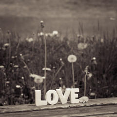word love (59)