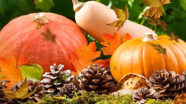 Herbstdekoration mit fliegendem Laub und Zoom