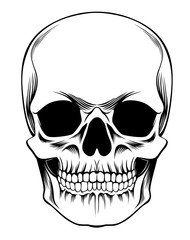 Black and white human skull