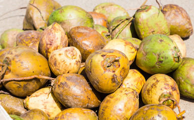 Green and Yellow Coconuts