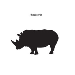 Rhinoceros