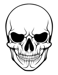Stylized human skull