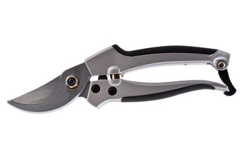 pruning shears