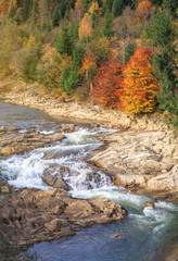 beautiful fast mountain river in autumn forest