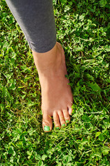 Fototapeta premium Girl's foot with green nails on the green grass