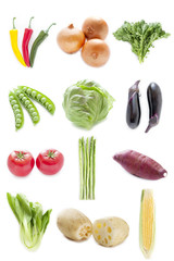 野菜　コラージュ