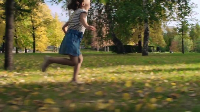 Slow motion tracking of excited and laughing little girl running through park on fallen leaves on bright early autumn day towards smiling father, then hugging and kissing him