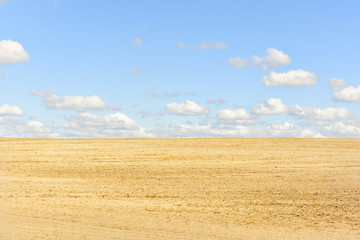 Obraz premium plowed land and beautiful sky with fluffy clouds. Sunny day 