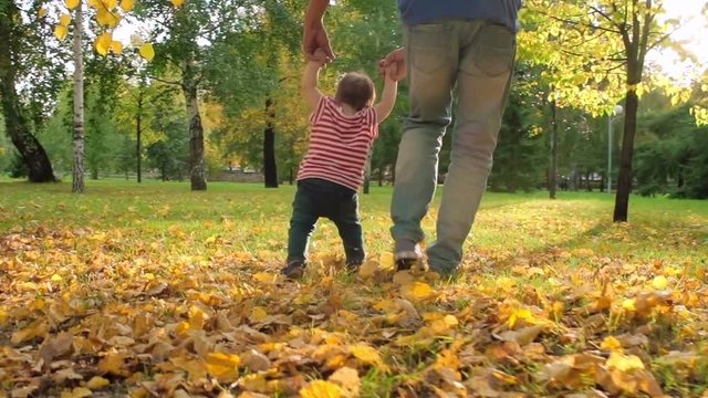 Slow motion rear view of father holding hands of little baby helping to walk on yellow fallen leaves on bright autumn day in park, rays of sunshine streaming through tall trees 