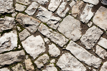 Old cobblestone pavement with moss growing between stones