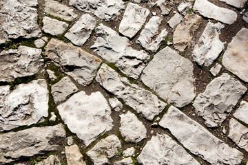 Old cobblestone pavement with moss growing between stones