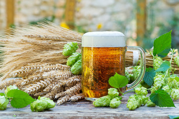 glass of beer with hops and raw material for beer production