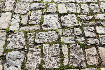 Old cobblestone pavement with moss growing between stones