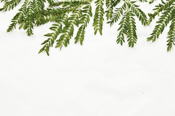 Fototapeta premium Patterns with leaves on white background, top view.